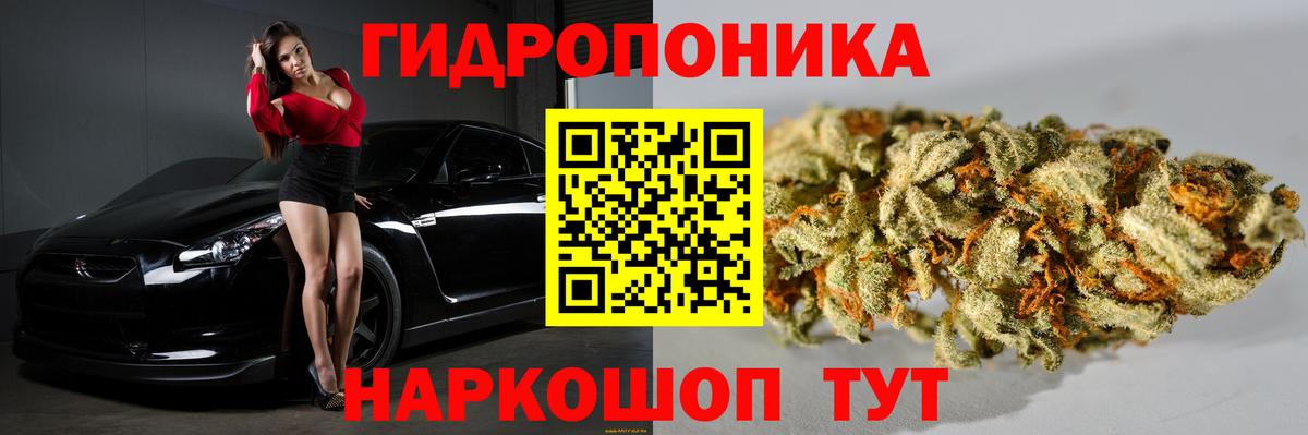 Углич  Бошки Шишки планчик  Вход с VPN  Бошки марихуана конопля  Каннабис THC 21% 